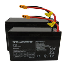 Bộ 2 Pin 12V 9Ah cho Density Unik