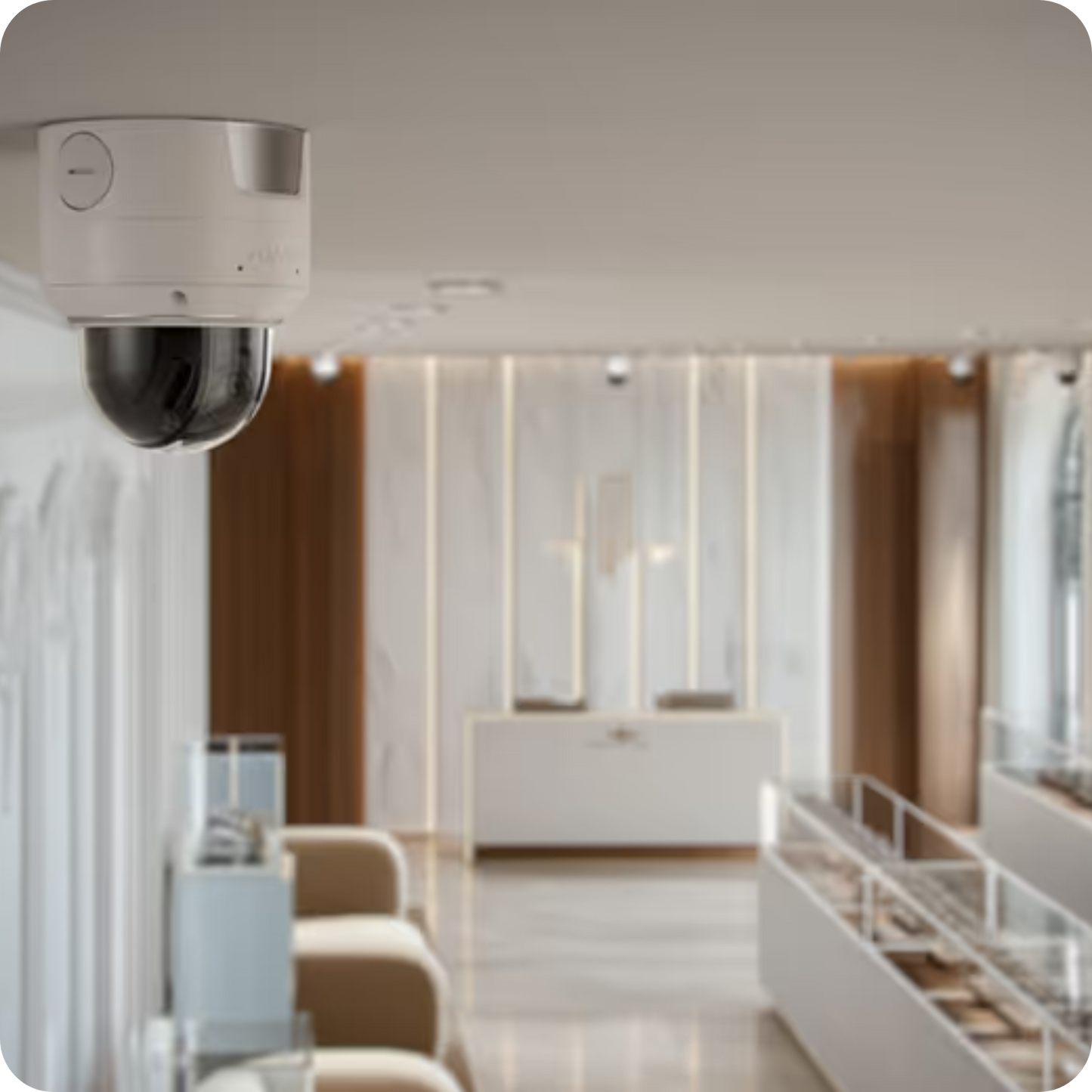 Ajax Superior DomeCam HLVF (4 Mp/ 8 Mp): Camera Giám Sát Ai Chuẩn Châu Âu turret